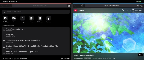 Continue Watching on the Start Page showing saved positions and watched videos